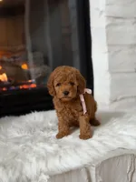 processed/03376f5c-67c1-47d0-9db2-5bb2ce7b01eb/listing/856c1af7-887d-4059-854e-11ccb68729c2/65abb994-1d62-46ec-83f1-14d1aab260ec