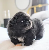 processed/034a5d7c-f803-4926-bc6e-88c38314e88d/listing/3b009b1d-e93f-4ce7-9da5-c6b54f36d4f5/5f167ba2-347a-4d88-bfad-aa3d0aab5d64