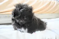 processed/034a5d7c-f803-4926-bc6e-88c38314e88d/listing/3b009b1d-e93f-4ce7-9da5-c6b54f36d4f5/77607369-4d5f-4b41-be77-b1f0378b651e