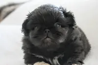 processed/034a5d7c-f803-4926-bc6e-88c38314e88d/listing/3b009b1d-e93f-4ce7-9da5-c6b54f36d4f5/8180612a-48e0-4eb3-8712-4c09a86b5a9c