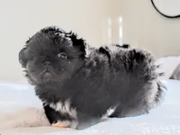 processed/034a5d7c-f803-4926-bc6e-88c38314e88d/listing/3b009b1d-e93f-4ce7-9da5-c6b54f36d4f5/aa956af6-45b9-4e23-8060-23b31388d73e