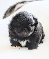 processed/034a5d7c-f803-4926-bc6e-88c38314e88d/listing/3b009b1d-e93f-4ce7-9da5-c6b54f36d4f5/f5f564dc-718f-4c14-a0f9-9990a10fe81b