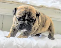 processed/034a5d7c-f803-4926-bc6e-88c38314e88d/listing/7e13c489-1083-415f-835c-d6a93dec04b8/7bd08f40-dcca-4377-979c-5a076d1fdadb