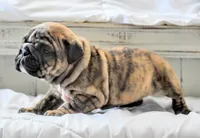 processed/034a5d7c-f803-4926-bc6e-88c38314e88d/listing/7e13c489-1083-415f-835c-d6a93dec04b8/822761cd-11cb-4d57-b1a8-8c35229e99b0