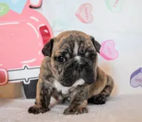 processed/034a5d7c-f803-4926-bc6e-88c38314e88d/listing/7e13c489-1083-415f-835c-d6a93dec04b8/89cf4f1d-3cd4-4700-a789-d0e9a9fd91df