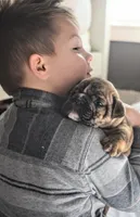 processed/034a5d7c-f803-4926-bc6e-88c38314e88d/listing/7e13c489-1083-415f-835c-d6a93dec04b8/bbf4c4ce-6a4f-4819-b109-fca92a1a1114