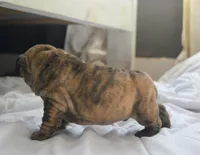 processed/034a5d7c-f803-4926-bc6e-88c38314e88d/listing/7e13c489-1083-415f-835c-d6a93dec04b8/bcf441e4-28a7-45c2-9301-a535b9331502