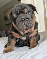 processed/034a5d7c-f803-4926-bc6e-88c38314e88d/listing/bd68aa09-3a63-4238-b5b3-be424367549c/15c17a5c-2a1e-4f50-ada9-a15e4cf196b4