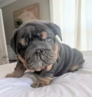 processed/034a5d7c-f803-4926-bc6e-88c38314e88d/listing/bd68aa09-3a63-4238-b5b3-be424367549c/3ac6a350-8614-40e4-93f5-50c34079b44a