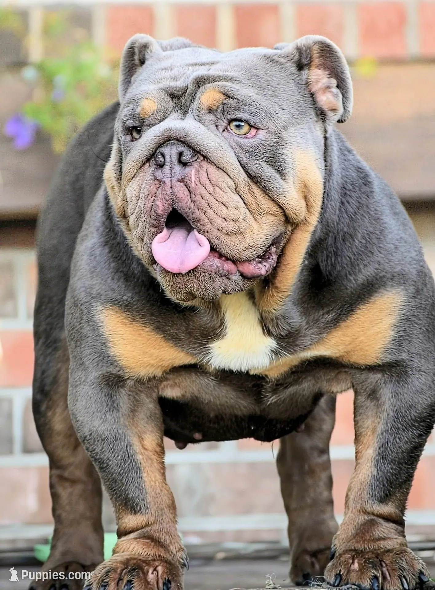 processed/034a5d7c-f803-4926-bc6e-88c38314e88d/listing/bd68aa09-3a63-4238-b5b3-be424367549c/9d7f2d70-ef87-416a-9ada-4ecad76dcfc3