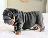 processed/034a5d7c-f803-4926-bc6e-88c38314e88d/listing/bd68aa09-3a63-4238-b5b3-be424367549c/b4ddfcc5-ff92-4253-afa5-6e547dc6fcee