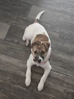 processed/035012d0-ebc2-4797-b5b3-77df6aa85c03/listing/bd26e63a-ea4f-4b3f-87e2-e75f89bd8857/50db6d7a-efd7-4c44-b1d1-e982eea63e69