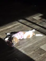 processed/035012d0-ebc2-4797-b5b3-77df6aa85c03/listing/bd26e63a-ea4f-4b3f-87e2-e75f89bd8857/fb0126ac-8dca-435c-a80a-cec5ab35d7cf