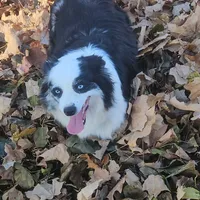 processed/035472aa-e861-43c0-adc3-3d4cdc432e4b/facility/07a813b8-a4d7-4f60-b062-44b59f673a4c