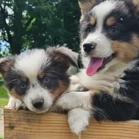 processed/035472aa-e861-43c0-adc3-3d4cdc432e4b/facility/3c592c7d-c50a-4fd0-9842-5f044c356f89