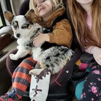 processed/035472aa-e861-43c0-adc3-3d4cdc432e4b/facility/40f92b8c-a52f-41de-954f-06261ab62947