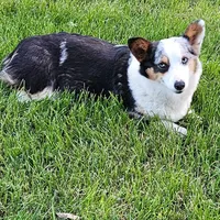 processed/035472aa-e861-43c0-adc3-3d4cdc432e4b/facility/5b79de86-6e06-481a-8730-752b202996d0