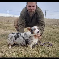 processed/035472aa-e861-43c0-adc3-3d4cdc432e4b/facility/9f596987-8d31-486c-89af-d457e79df22a