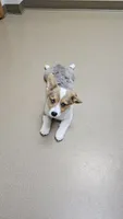 Breslyn, a female Pembroke Welsh Corgi for sale in Milton, WI – 1 of 1