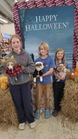 Rosie Frenchie Girl, a female French Bulldog for sale in Milton, WI – 5 of 5