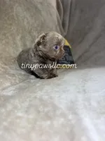 processed/0364d2f6-2b7b-4a32-aab9-2072603a58ca/facility/005e8635-eb1d-41e0-96aa-676871cb550c