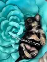 processed/0364d2f6-2b7b-4a32-aab9-2072603a58ca/facility/299e26bb-850a-4d57-85ef-ccd1c1b486fc