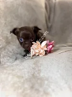 processed/0364d2f6-2b7b-4a32-aab9-2072603a58ca/facility/d5103802-8131-4a5f-bce1-baa361422b56