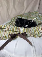 Nibs , a male Chihuahua for sale in Saint Louis, MO – Photo 3 of 10