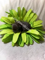 Oliver, a male Chihuahua for sale in Saint Louis, MO – Photo 5 of 9