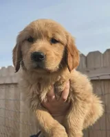 processed/0366d127-b083-470f-bc34-ff8d56b390bb/facility/6a72a0f6-5e11-445d-b0c0-d0d6f9ccb49c