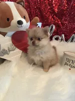 processed/03682b8e-f651-4c49-a702-8cd29695311a/listing/8c7df954-d3be-4602-9cbd-66513728ccd1/6b5e2755-e2fe-49e2-8175-6d397539a582