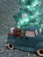 processed/03682b8e-f651-4c49-a702-8cd29695311a/listing/8c7df954-d3be-4602-9cbd-66513728ccd1/720d0799-d7c0-4d27-baf2-cae5e555c0e7