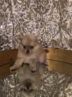 processed/03682b8e-f651-4c49-a702-8cd29695311a/listing/8c7df954-d3be-4602-9cbd-66513728ccd1/cb0c343e-9a07-47ef-a0de-66d61d453314