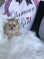 processed/03682b8e-f651-4c49-a702-8cd29695311a/listing/8c7df954-d3be-4602-9cbd-66513728ccd1/d28aa7e9-3d07-4093-87af-560402a422be