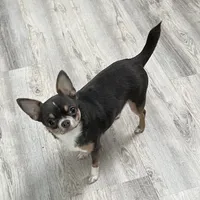 processed/0377c3ce-648a-4327-8fe8-5a9f81d219ff/facility/123323e7-cea4-43c8-aeea-31ba12975027