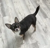 processed/0377c3ce-648a-4327-8fe8-5a9f81d219ff/facility/123323e7-cea4-43c8-aeea-31ba12975027