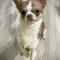 processed/0377c3ce-648a-4327-8fe8-5a9f81d219ff/facility/3668c3c0-ac71-47a3-9e18-c129058bbe41