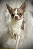 processed/0377c3ce-648a-4327-8fe8-5a9f81d219ff/facility/3668c3c0-ac71-47a3-9e18-c129058bbe41