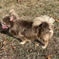 processed/0377c3ce-648a-4327-8fe8-5a9f81d219ff/facility/428fd3f4-baa5-48f5-a563-d8d3066782a1