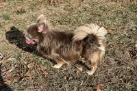 processed/0377c3ce-648a-4327-8fe8-5a9f81d219ff/facility/428fd3f4-baa5-48f5-a563-d8d3066782a1