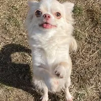 processed/0377c3ce-648a-4327-8fe8-5a9f81d219ff/facility/72e31fc8-99df-453f-af5c-098a3419440a