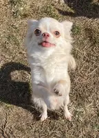 processed/0377c3ce-648a-4327-8fe8-5a9f81d219ff/facility/72e31fc8-99df-453f-af5c-098a3419440a