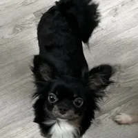 processed/0377c3ce-648a-4327-8fe8-5a9f81d219ff/facility/8f7f9628-1aad-4b33-aa09-546f11f5fa0b