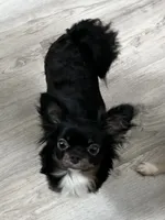 processed/0377c3ce-648a-4327-8fe8-5a9f81d219ff/facility/8f7f9628-1aad-4b33-aa09-546f11f5fa0b