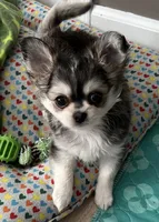 processed/0377c3ce-648a-4327-8fe8-5a9f81d219ff/facility/937496c6-785f-45c3-b908-beb30f05781f