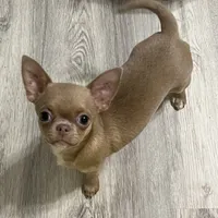 processed/0377c3ce-648a-4327-8fe8-5a9f81d219ff/facility/b7f34475-b31b-4b6c-a962-d2eb825884f2