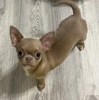 processed/0377c3ce-648a-4327-8fe8-5a9f81d219ff/facility/b7f34475-b31b-4b6c-a962-d2eb825884f2