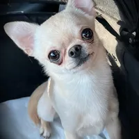 processed/0377c3ce-648a-4327-8fe8-5a9f81d219ff/facility/ccb98e2c-469d-4ced-9d3a-abdf6e9a0996