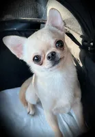 processed/0377c3ce-648a-4327-8fe8-5a9f81d219ff/facility/ccb98e2c-469d-4ced-9d3a-abdf6e9a0996