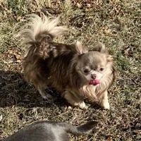 processed/0377c3ce-648a-4327-8fe8-5a9f81d219ff/facility/df5900e7-3828-49ca-ba1d-cda1374620b2